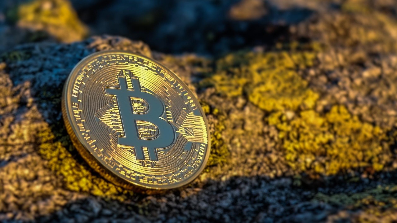 Meanwhile比特币寿险获4000万美元融资！Framework Ventures与Fulgur Ventures共同领投
